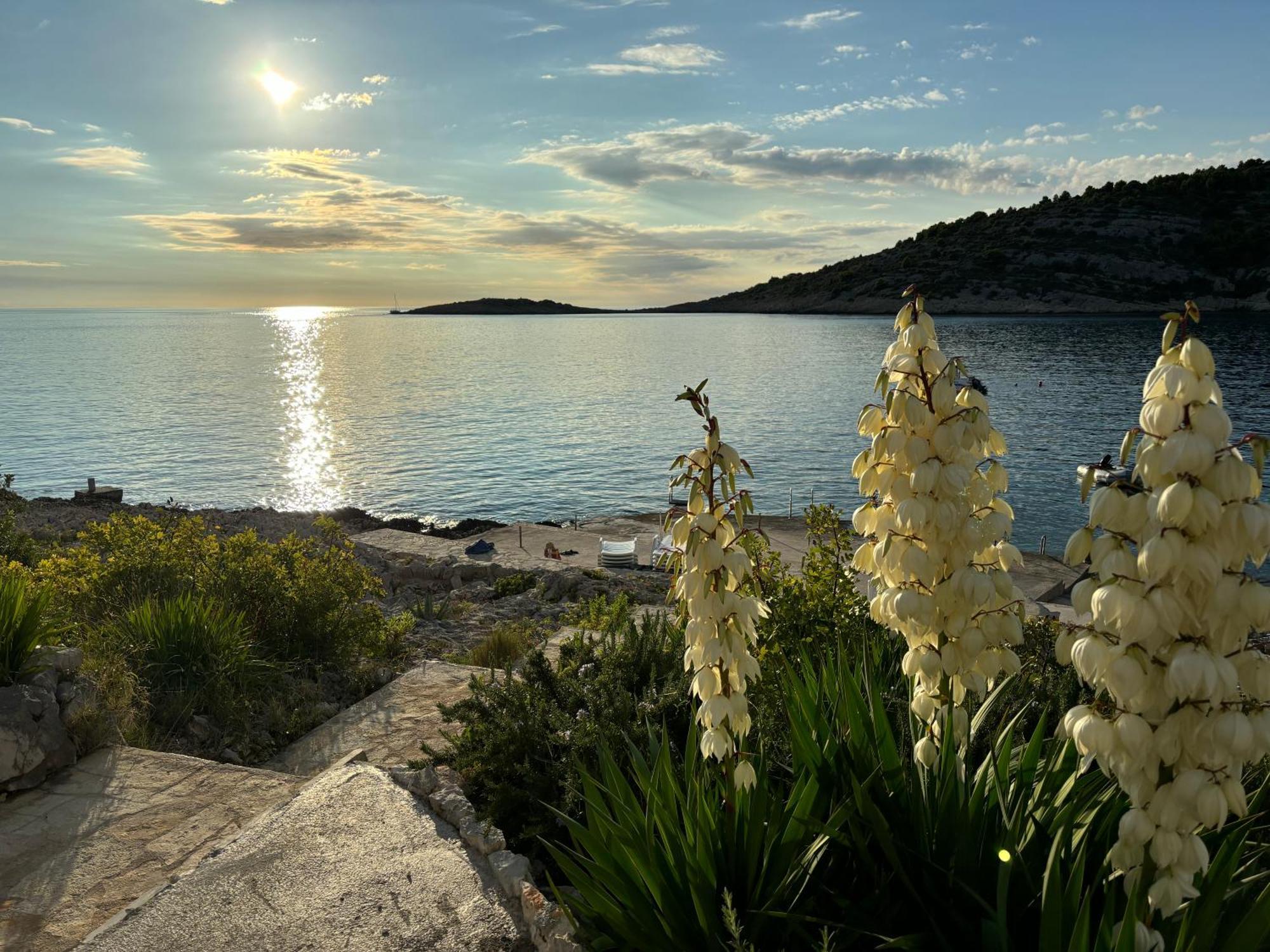 Direkt Am Meer-Apartments Puntaplanka Rogoznica  Exteriör bild